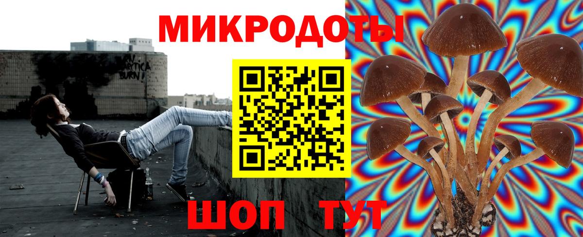 Чита  Псилоцибиновые грибы мицелий  Псилоцибиновые грибы мухоморы  Вход с VPN 